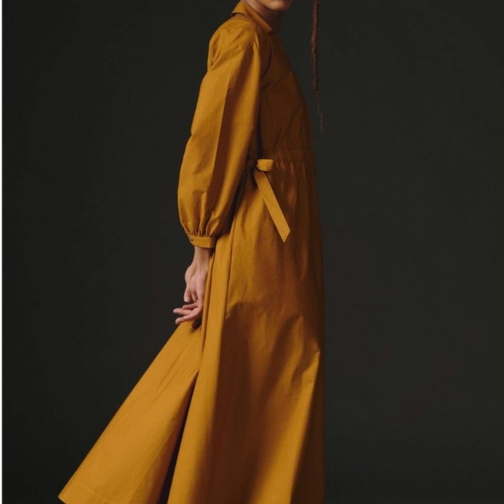 NEW Maeve Cinched Waist Cotton Maxi Shirt Dress Anthropologie Cedar, Medium, NWT - Picture 2 of 15
